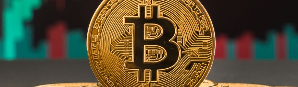 Indian crypto investors expand their portfolios through 2025