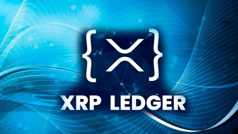 XRPL Hub Goes Public: Ripple CTO Pushes Transparency for XRP