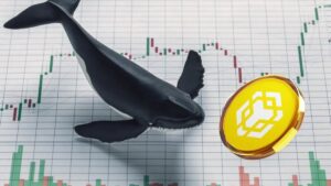 BNB Whale Offloads $10.7M Amid Bearish Market Signals