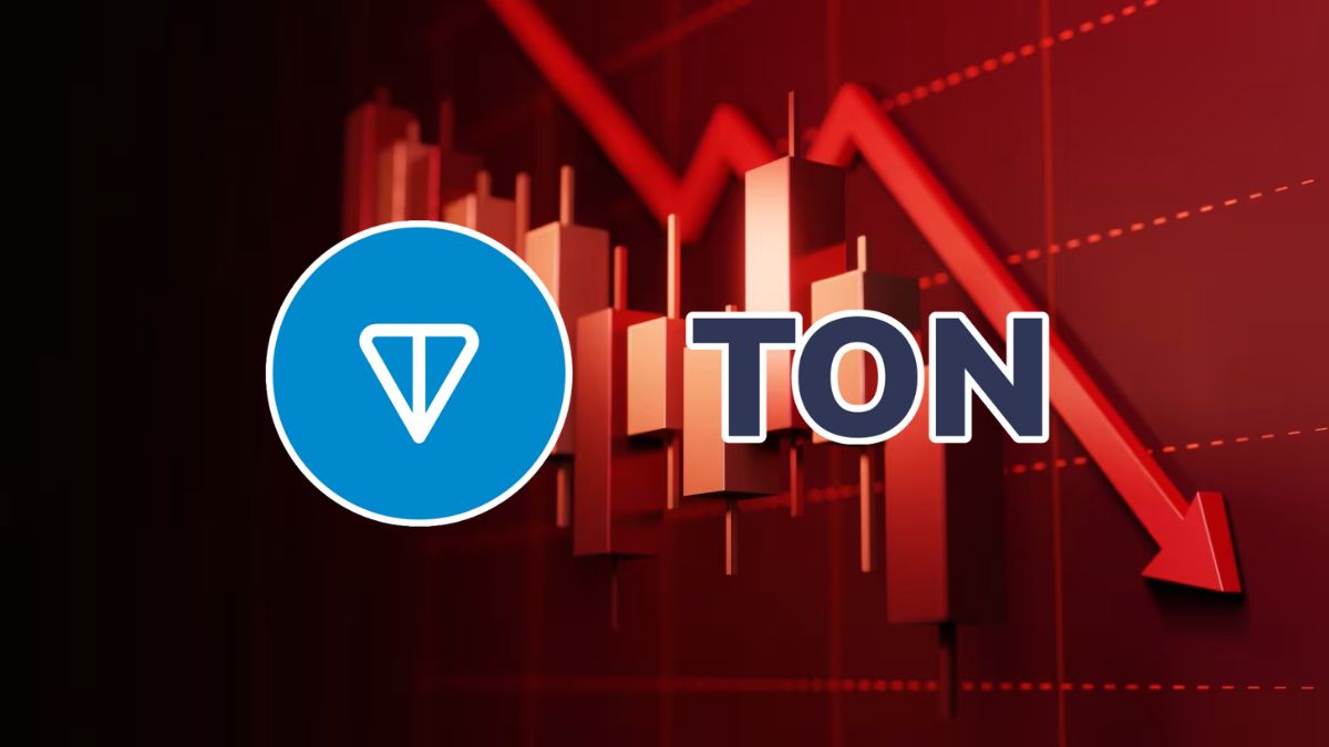 TON Tanks Harder Than the Rest of Crypto - Crypto Economy