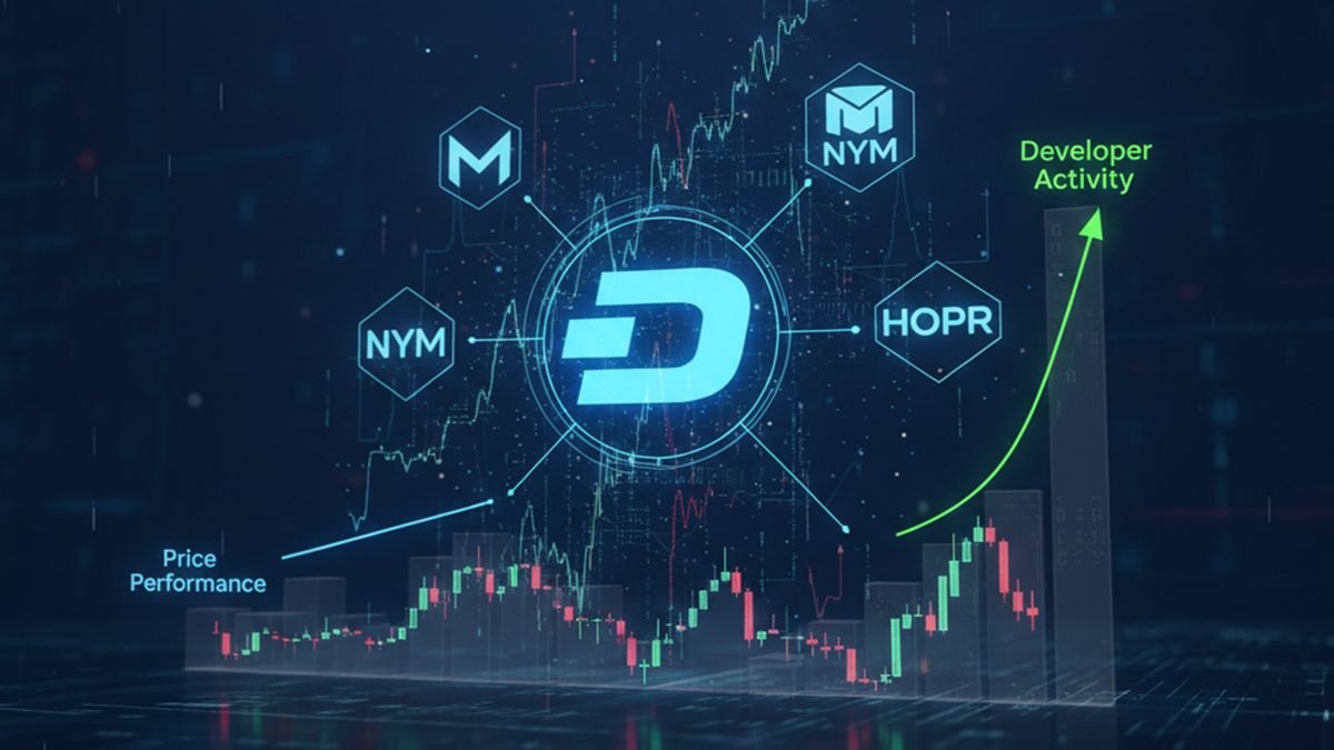 Developer activity in privacy coins-