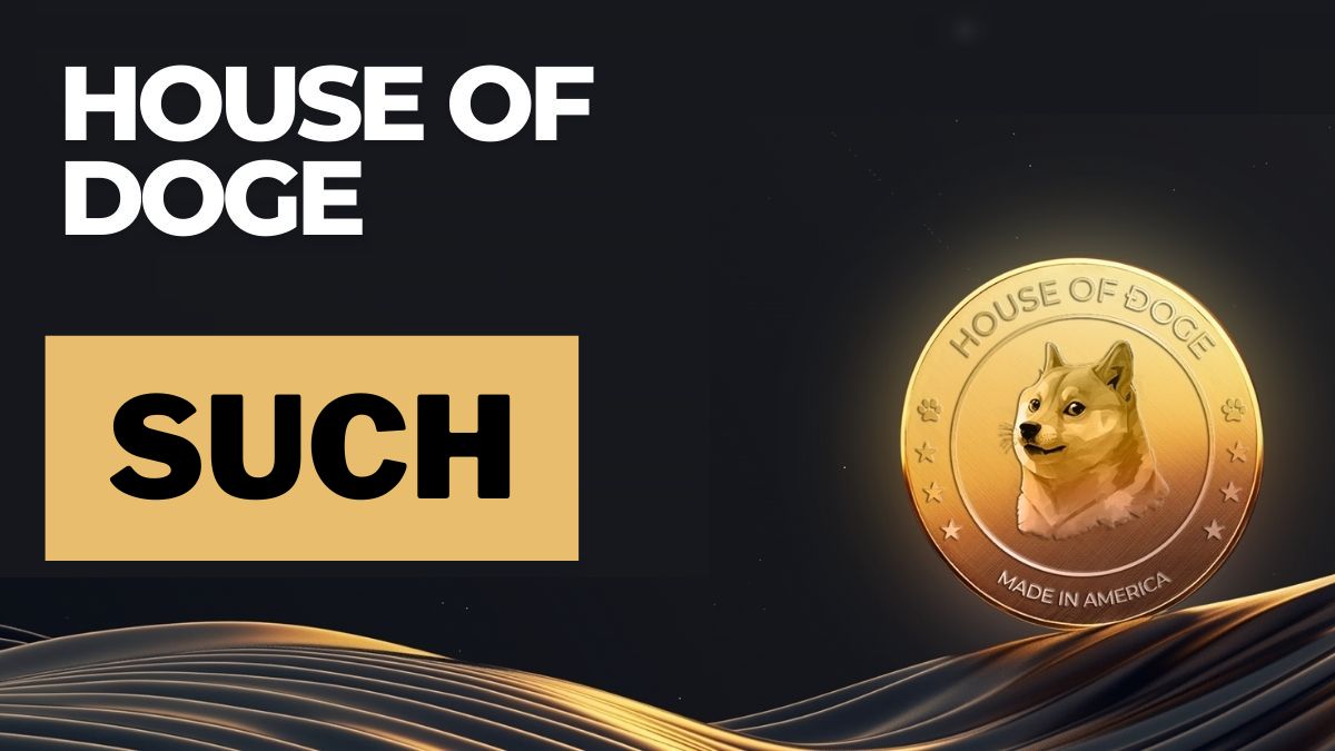 ‘Such’ DOGE Payments Platform Set to Debut in Early 2026 With Foundation Support