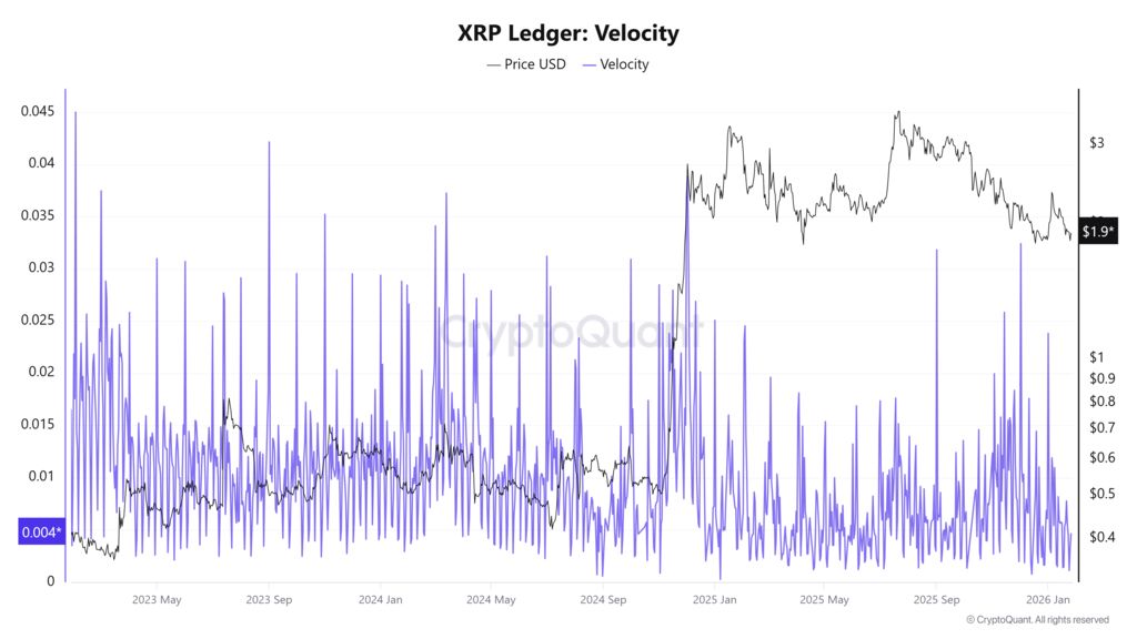XRPs-network-velocity-spiked-40-in-24-hours-signaling-renewed-on-chain-activity
