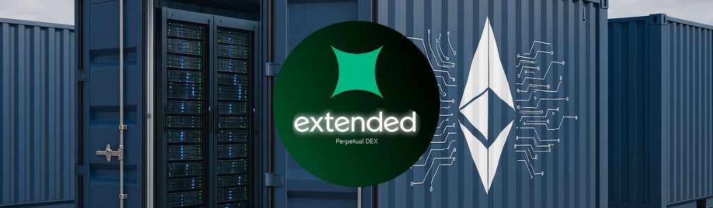 Extended Vaults and Security