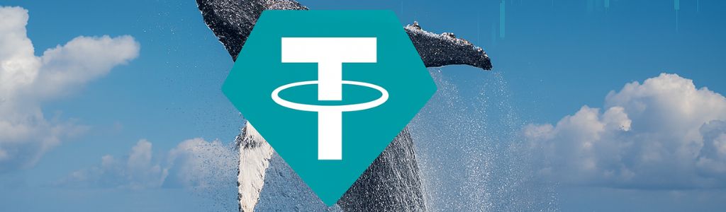 Whales Reduce Exposure as Selling Accelerates