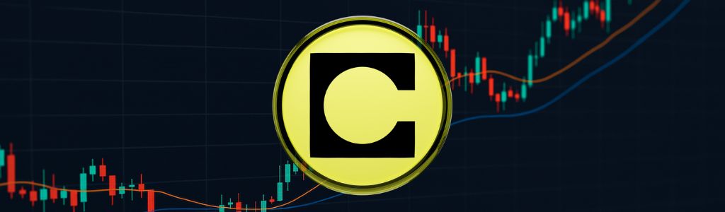 What is the CELO Token?