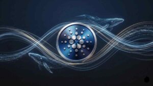 whale activity in Cardano