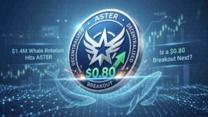 acumulación de ballenas en Aster-