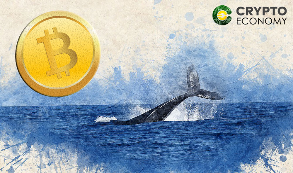 Las ballenas de Bitcoin poseen un tercio de todos los bitcoins en circulación