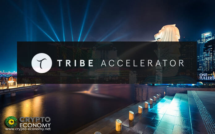 El acelerador Blockchain de Singapur Tribe firma con IBM, Citibank y Ubisoft como socios corporativos