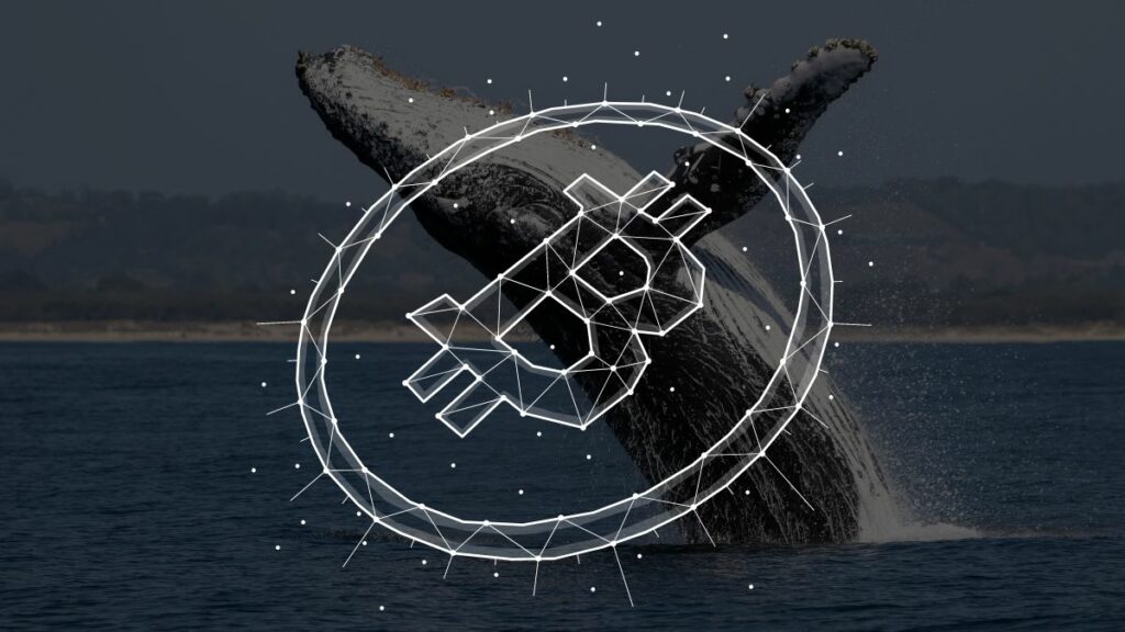 Bitcoin-Whale