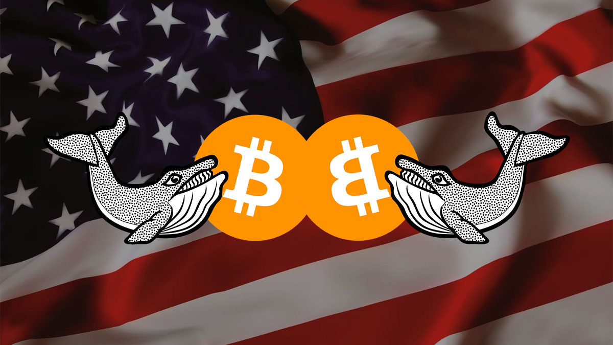 El Gobierno de EE.UU. es una de las Whales de Bitcoin más Grandes, Según un Informe