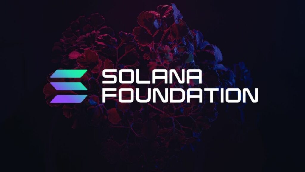 La Fundación Solana se une a la Zona Franca de Dubai como Socio del Ecosistema