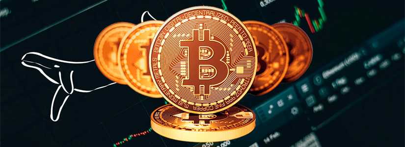 Las Whales de Bitcoin Inactivas se Despiertan Después de 6 Años y Mueven Más de $200m