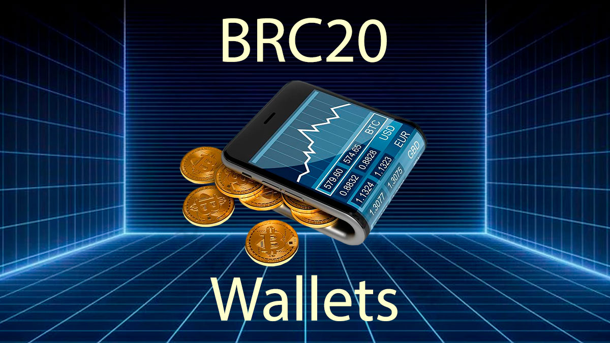 Mejores Wallets para Holdear Tokens BRC-20