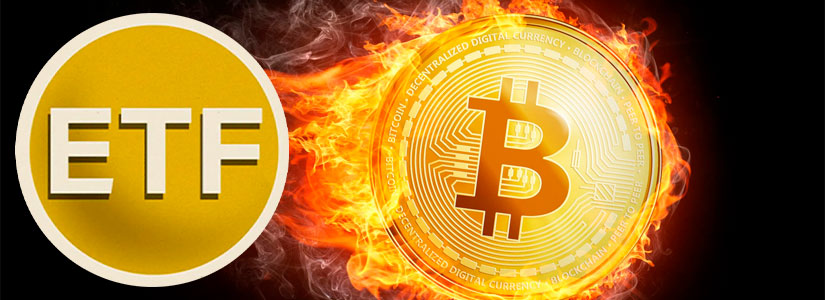 El CEO de Valkyrie Dice que los ETF al Contado de Bitcoin se Aprobarán Mañana y las Operaciones Comenzarán el Jueves