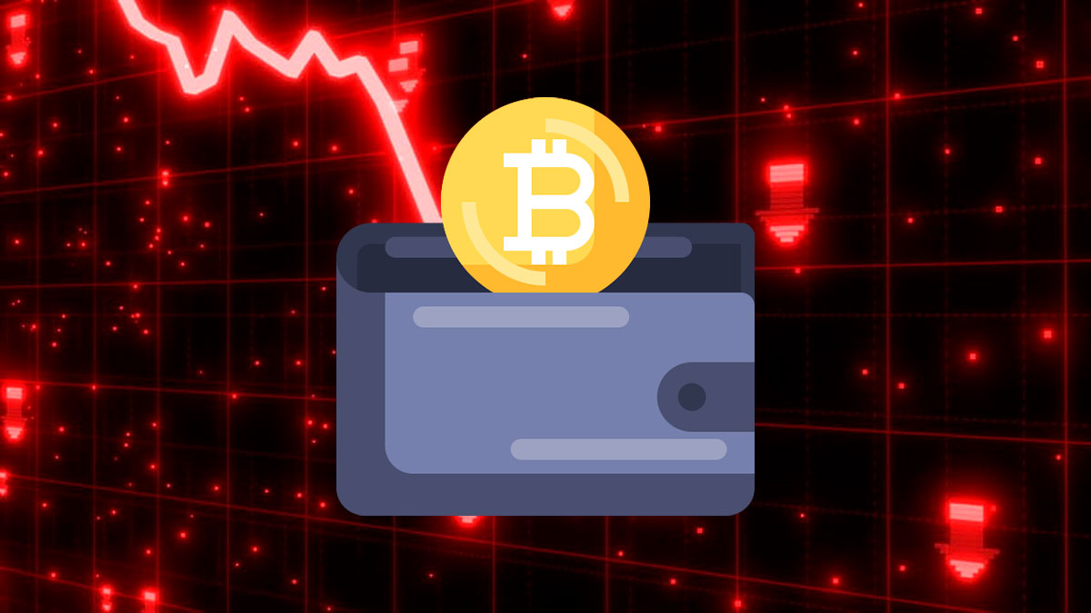 La Actividad de las Wallets Bitcoin se Desploma Después de la Aprobación del ETF: ¿Está Disminuyendo la Confianza en las Criptomonedas?