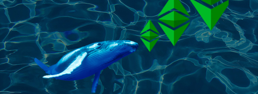 ¡Señales alcistas para Ethereum! Las whales están acumulando ETH a medida que aumentan los precios