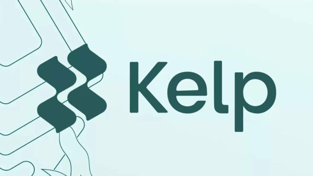 Kelp DAO cierra una ronda de financiación privada de 9 millones de dólares