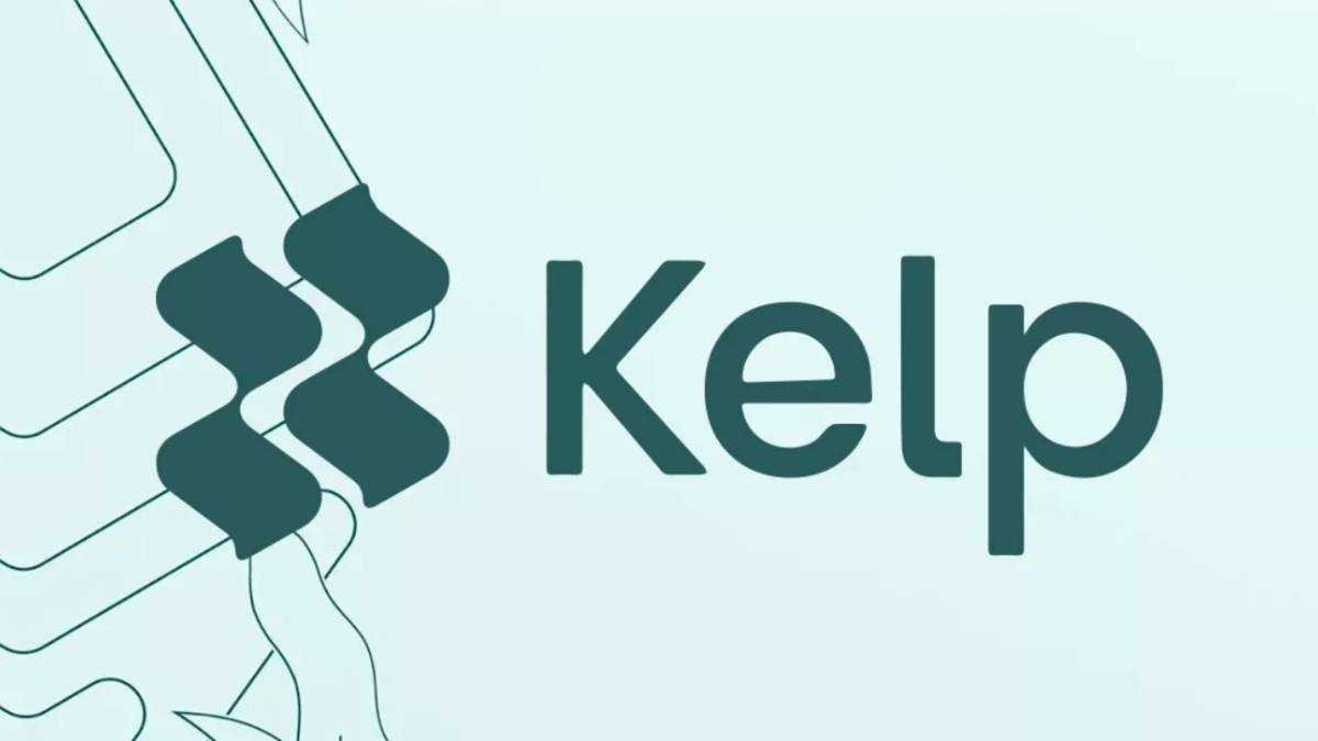 Kelp DAO cierra una ronda de financiación privada de 9 millones de dólares