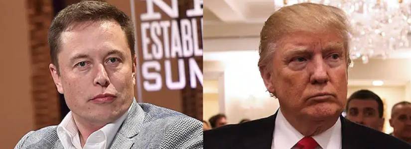 Last minute! Elon Musk advises Donald Trump on cryptocurrency strategy for the election campaign