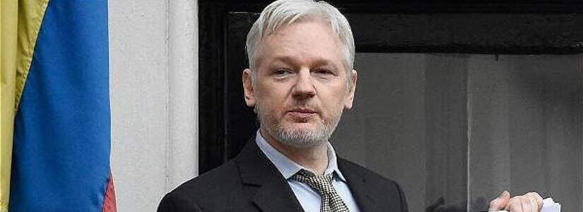 assangedao julian assange