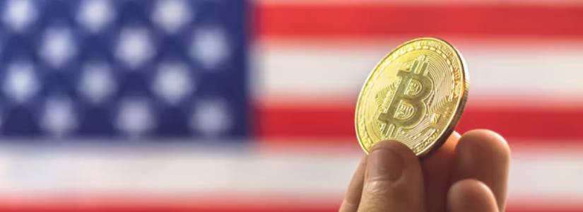 Pro-Cryptocurrency Voters: A Bipartisan Force Shaping the 2024 US Election