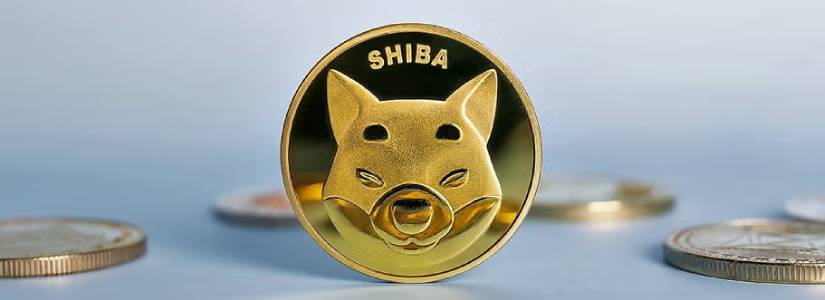 Debate sobre el ETF de Shiba Inu: ¿Ventaja o Desventaja para DeFi?