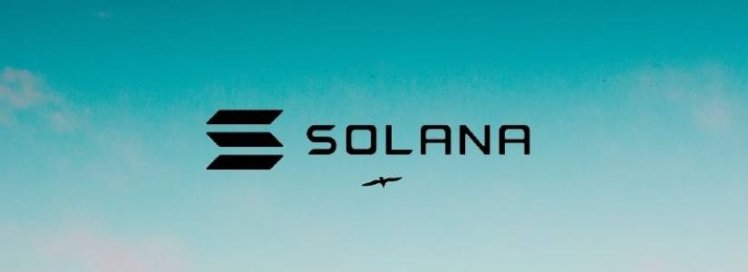 Research Claims Bots Drive Solana’s Transaction Boom, Overtaking Ethereum