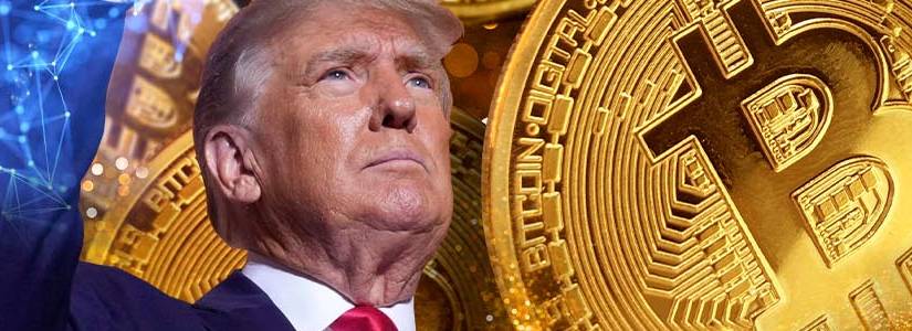 Donald Trump Bitcoin VANeCK