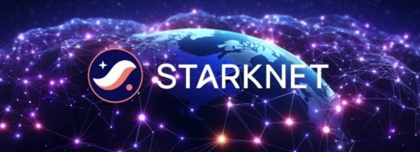 Starknet CEO Abruptly Resigns After Less Than 2 Years – What is Going On?