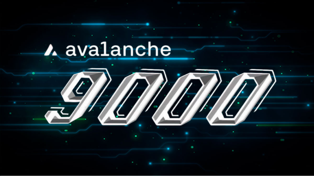 La actualización de Avalanche9000 ya está disponible: reducción de costos, aumento de recompensas y redefinición de la descentralización