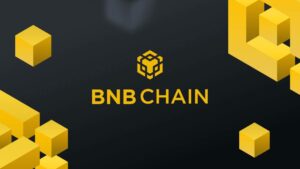 Nuevos Incentivos de BNB Chain Impulsan el TVL de DeFi y la Actividad de NFTs Mientras se Desarrollan sus Planes Multichain