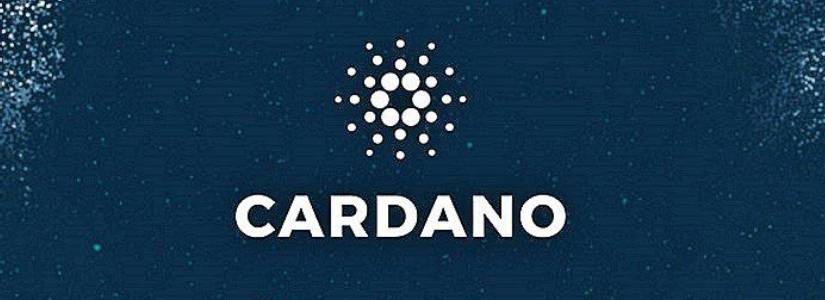 Cardano Price Surges as Whale Reserves Surpass $12B: What Does This Mean?