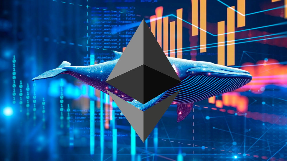 La actividad de las Whales de Ethereum alcanza un máximo histórico, las wallets pequeñas caen a un mínimo histórico