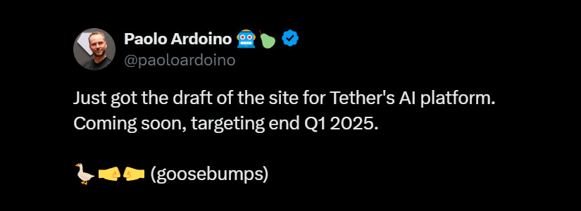 El CEO de Tether, Paolo Ardoino, anuncia el lanzamiento de una plataforma de IA en el primer trimestre de 2025