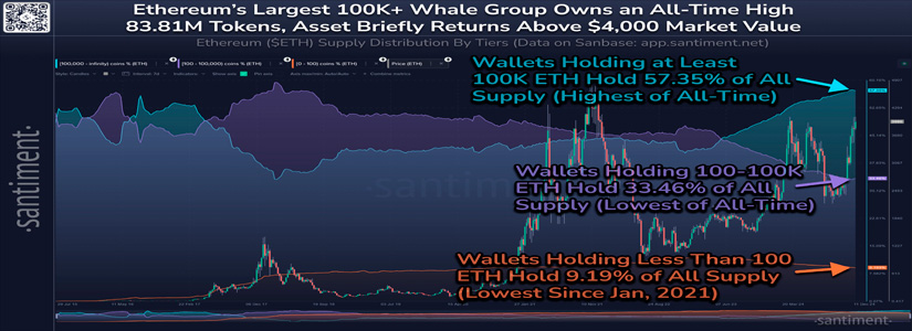 La actividad de las Whales de Ethereum alcanza un máximo histórico, las wallets pequeñas caen a un mínimo histórico