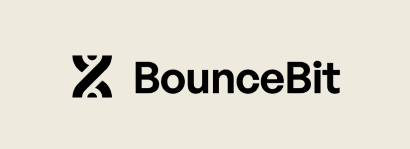 Bouncebit post