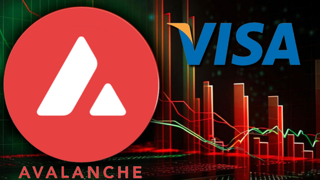 Avalanche lanza su tarjeta Visa compatible con criptomonedas— Esto es lo que necesitas saber