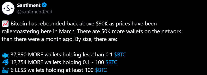 Bitcoin rompe los $91K! El mercado cripto supera los $3 billones, ¿qué sigue?