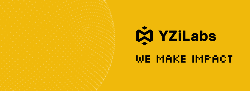 yzi labs post