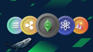 Las Altcoins Retroceden Mientras las Ballenas Acumulan—¿Qué Sigue para el Mercado Cripto?