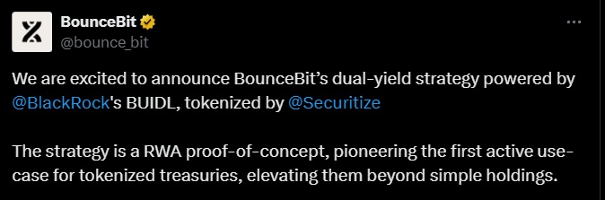 BounceBit post