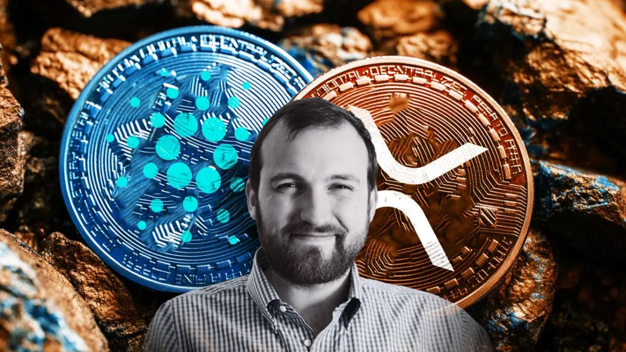 Hoskinson Sobre la Posible Compra de Circle por Parte de Ripple: No es una Amenaza, Sino un Impulso - Crypto Economy ESP