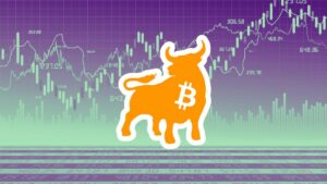 Los inversores a largo plazo de Bitcoin acumulan 800.000 monedas en un mes