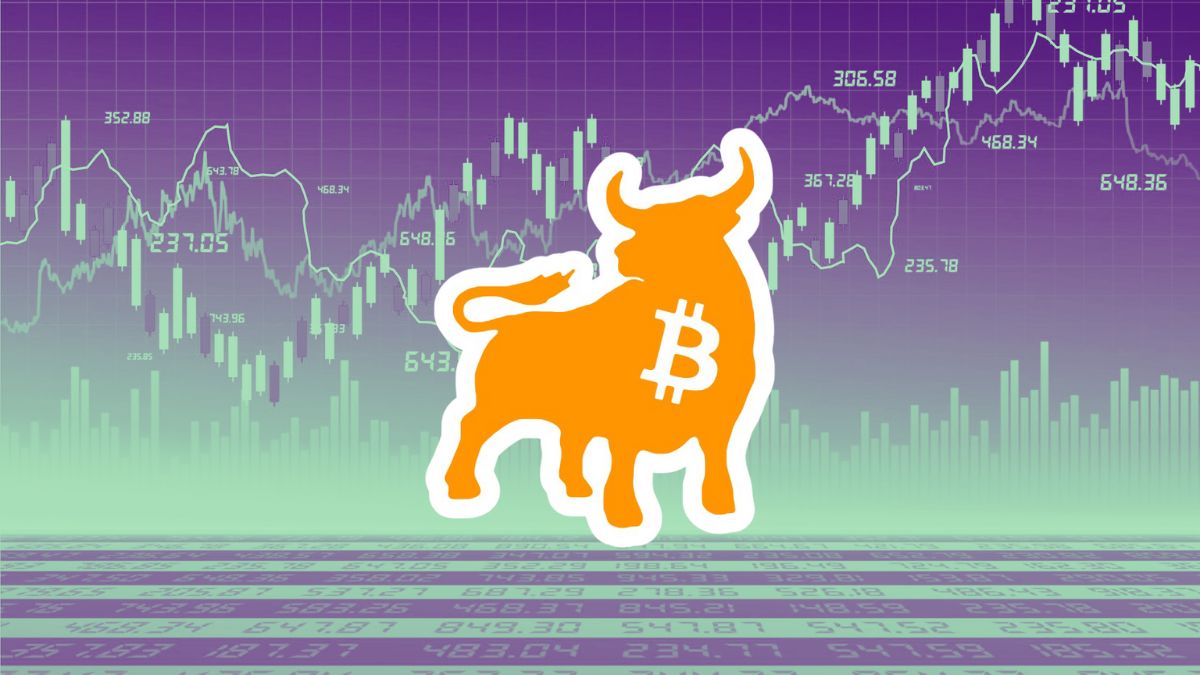 Los inversores a largo plazo de Bitcoin acumulan 800.000 monedas en un mes