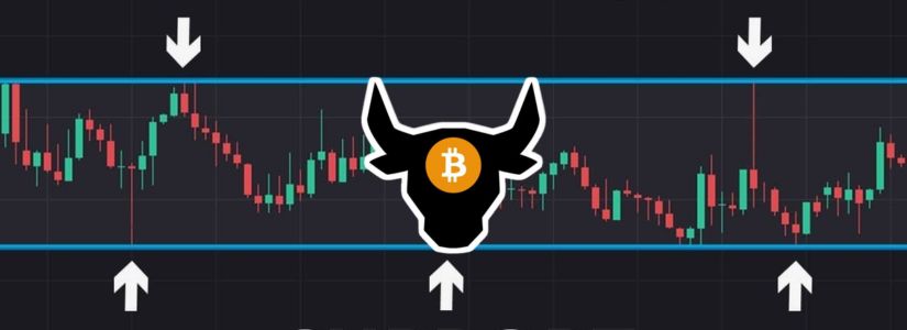 Los inversores a largo plazo de Bitcoin acumulan 800.000 monedas en un mes