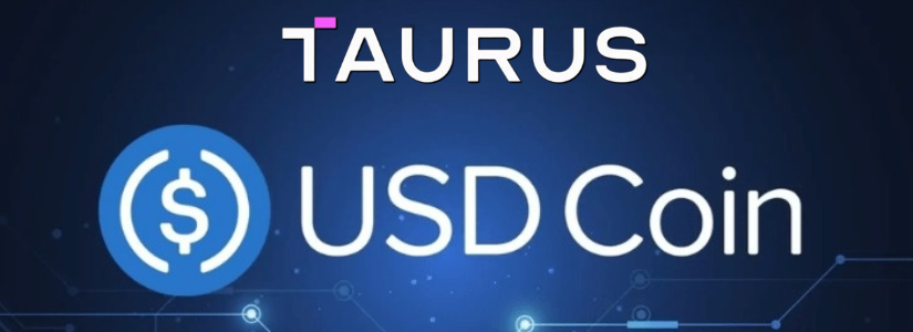 USDC Stablecoin