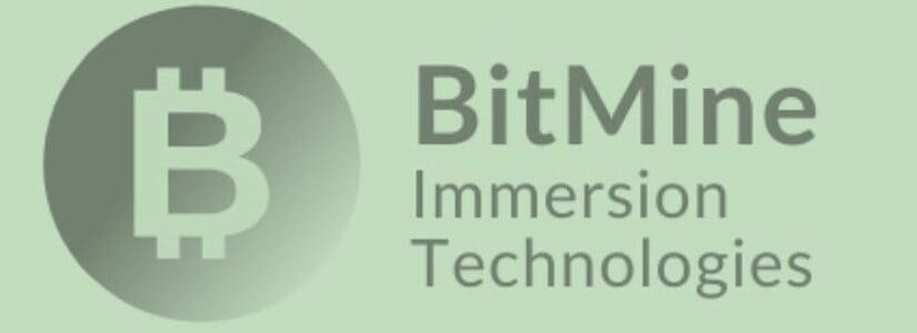 BitMine Immersion