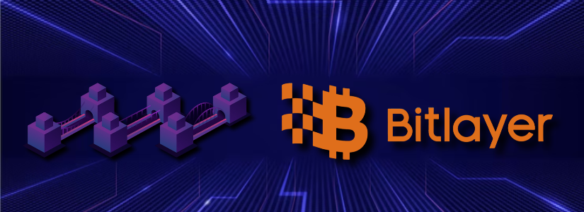 Imagen de Bitlayer